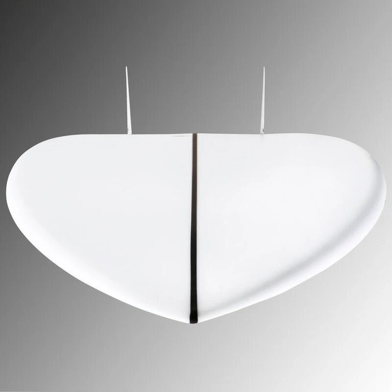 FISH 900 5'8" 35 L. Livrée Avec 2 Ailerons Twin . 10 FISH 900 5'8" 35 L. Livrée Avec 2 Ailerons Twin . – Image 8